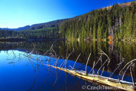 Szumawa - Prašilskie jezioro.jpg