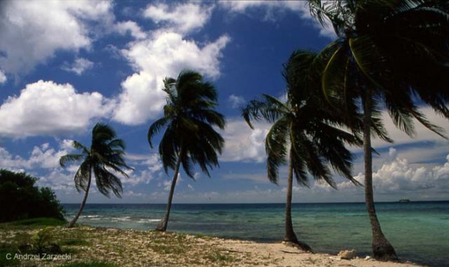 Koralowy raj nie tylko dla gangsterów