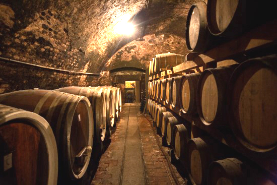Beczki z leżakującym winem w chorwackiej piwnicy