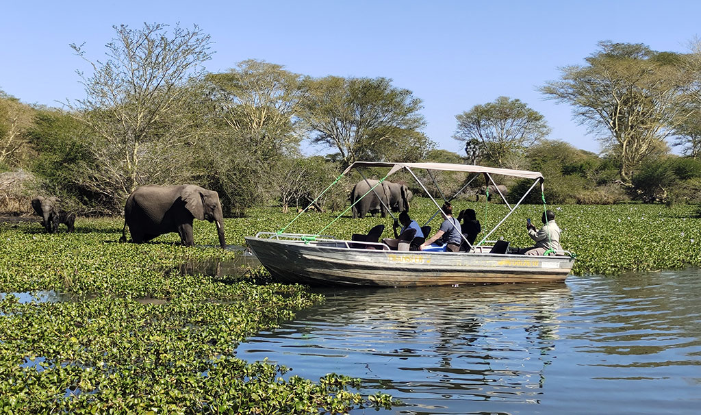 Wodne safari w Parku Narodowym Liwonde w Malawi