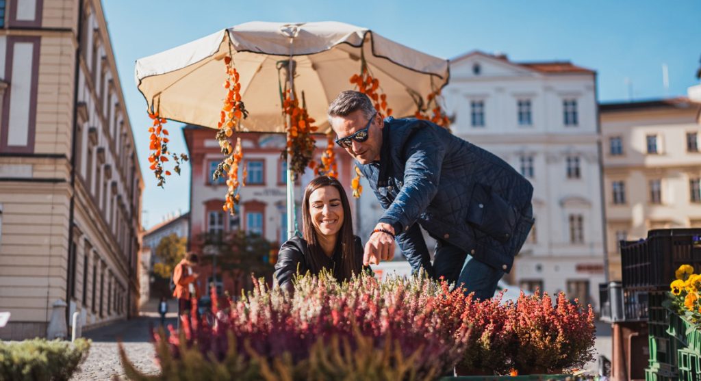 Stoisko z kwiatami na targu w Brnie