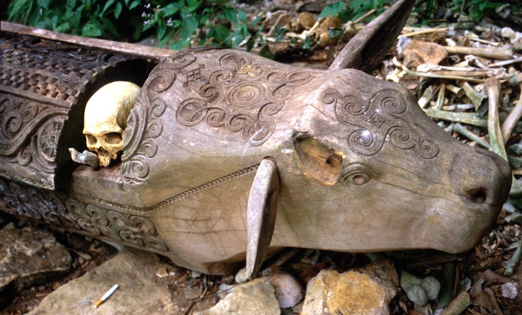 Obyczaje Toradżów. Fot. Grzegorz Micuła