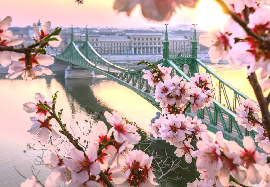 Budapeszt. Wiosenny widok z Gellert Hegy