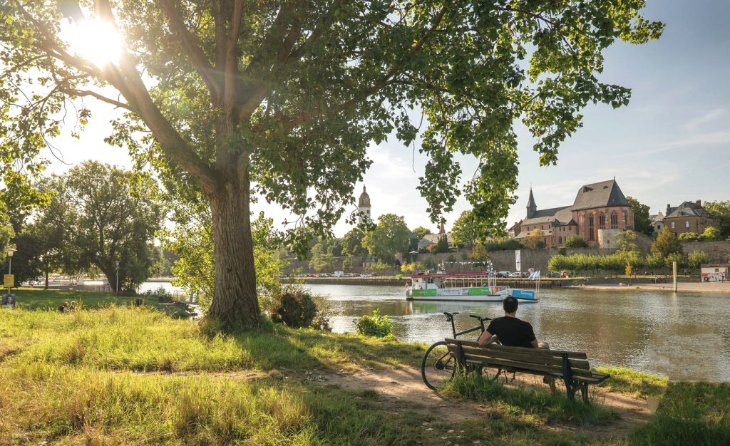 Wycieczka rowerowa wzdłuż Menu, region Frankfurt/ Höchst. Fot. Isabela Pacini