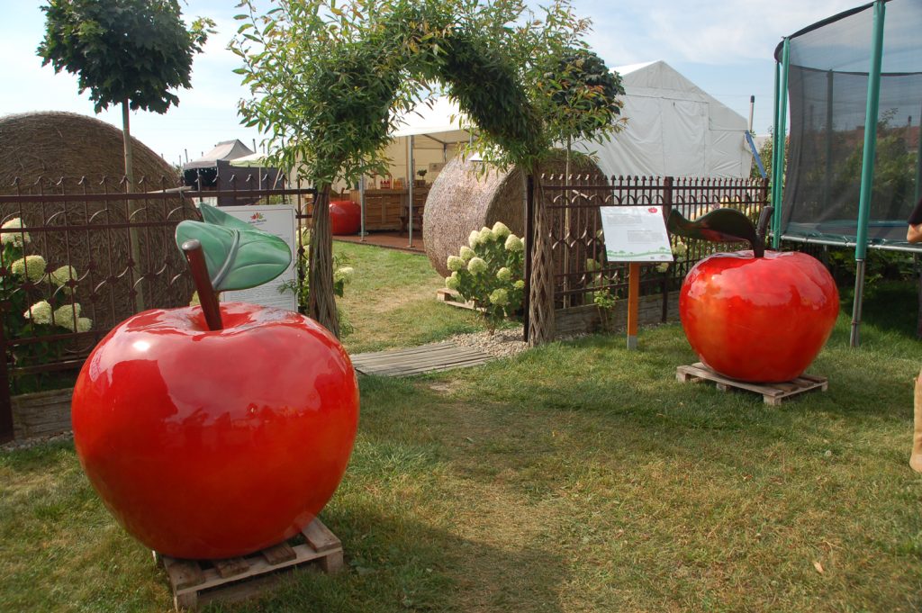 Wejście do sadu Naszej Tłoczni. Fot. Cezary Rudziński