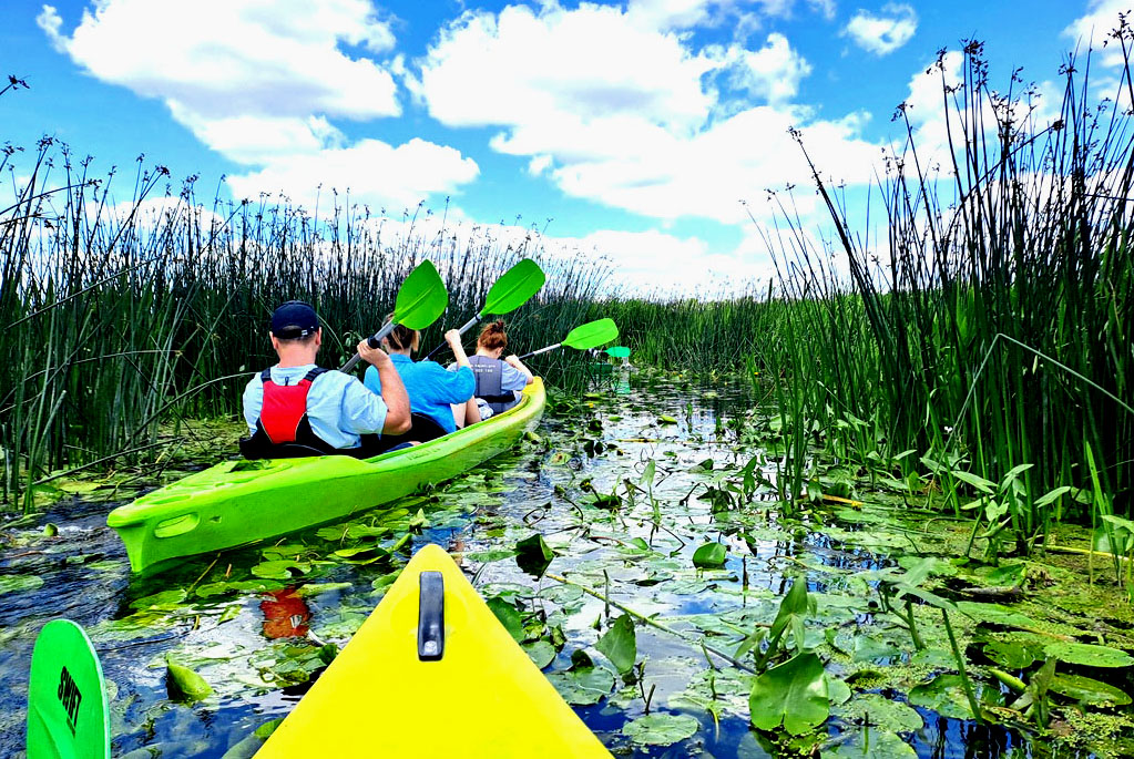 Spływ kajakowy rzeką Fiszor. Fot. Anna Ochremiak