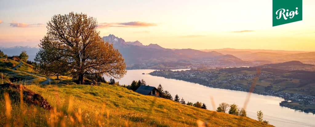 SZWAJCARIA: WIOSNA NA MOUNT RIGI I JEZIORZE CZTERECH KANTONÓW