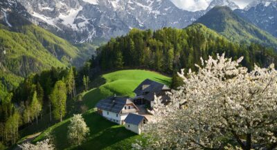 Rezerwat-Zelenci-©Iztok-Medja-