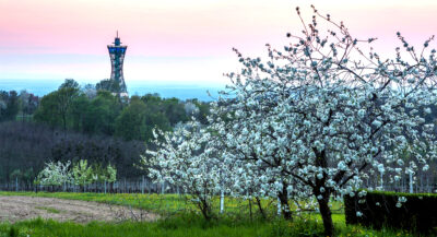 Wieza-widokowa-Vinarium-©Jost-Gantar