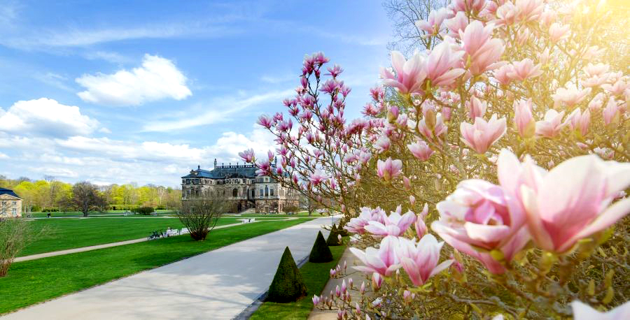 Wiosna w Saksonii. Fot. S. Rose