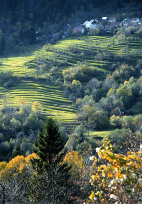 Gorski-Kotar-fot.-Petar-Trinajstic