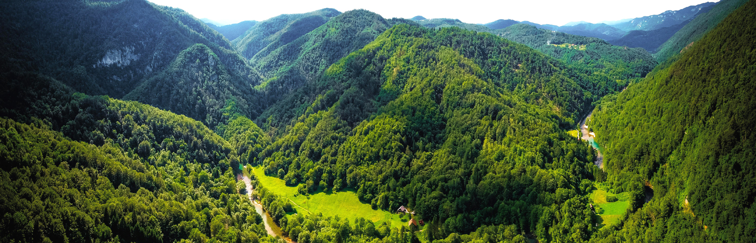Risnjak-fot.-Ivo-Biocina