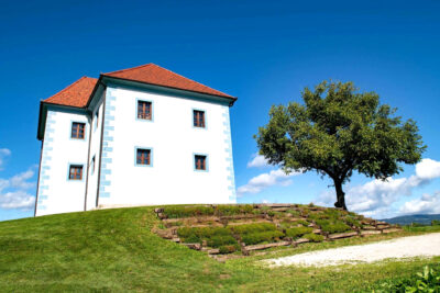 Zlati grič/ Mediaspeed, foto: Nejc Fon